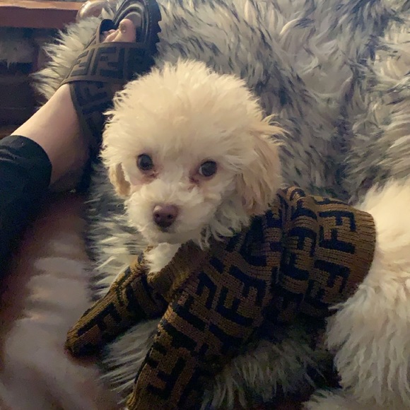 My LIFE 💕 - Picture 7 of 16